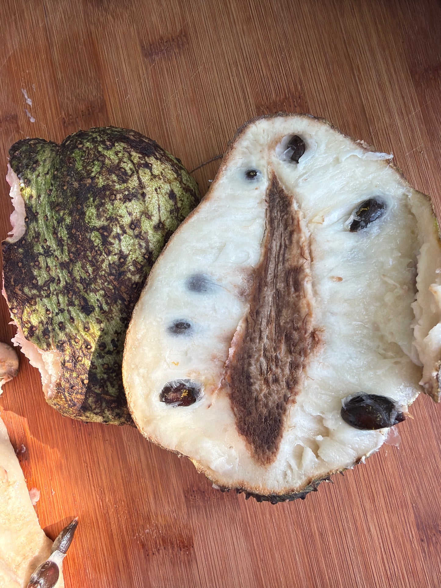 1 gallon Soursop - Guanabana